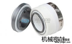 詳解離心式泵的雙重機封