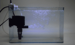 每日科普一泵:如何挑選合適的魚(yú)缸水泵?